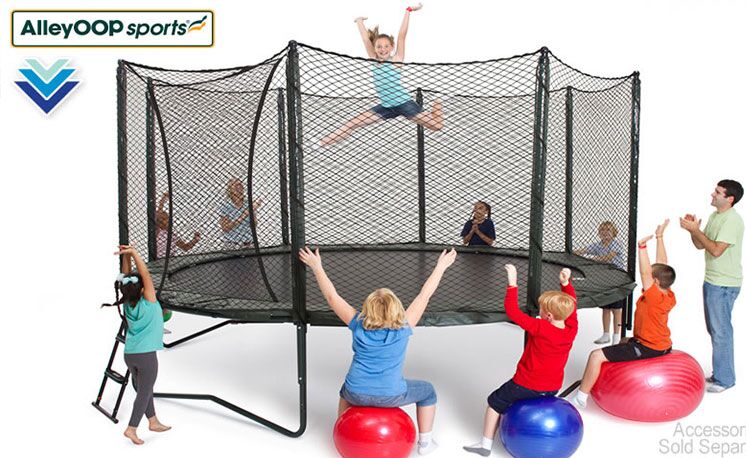 14ft AlleyOop VariableBounce Includes Ladder - Image 2